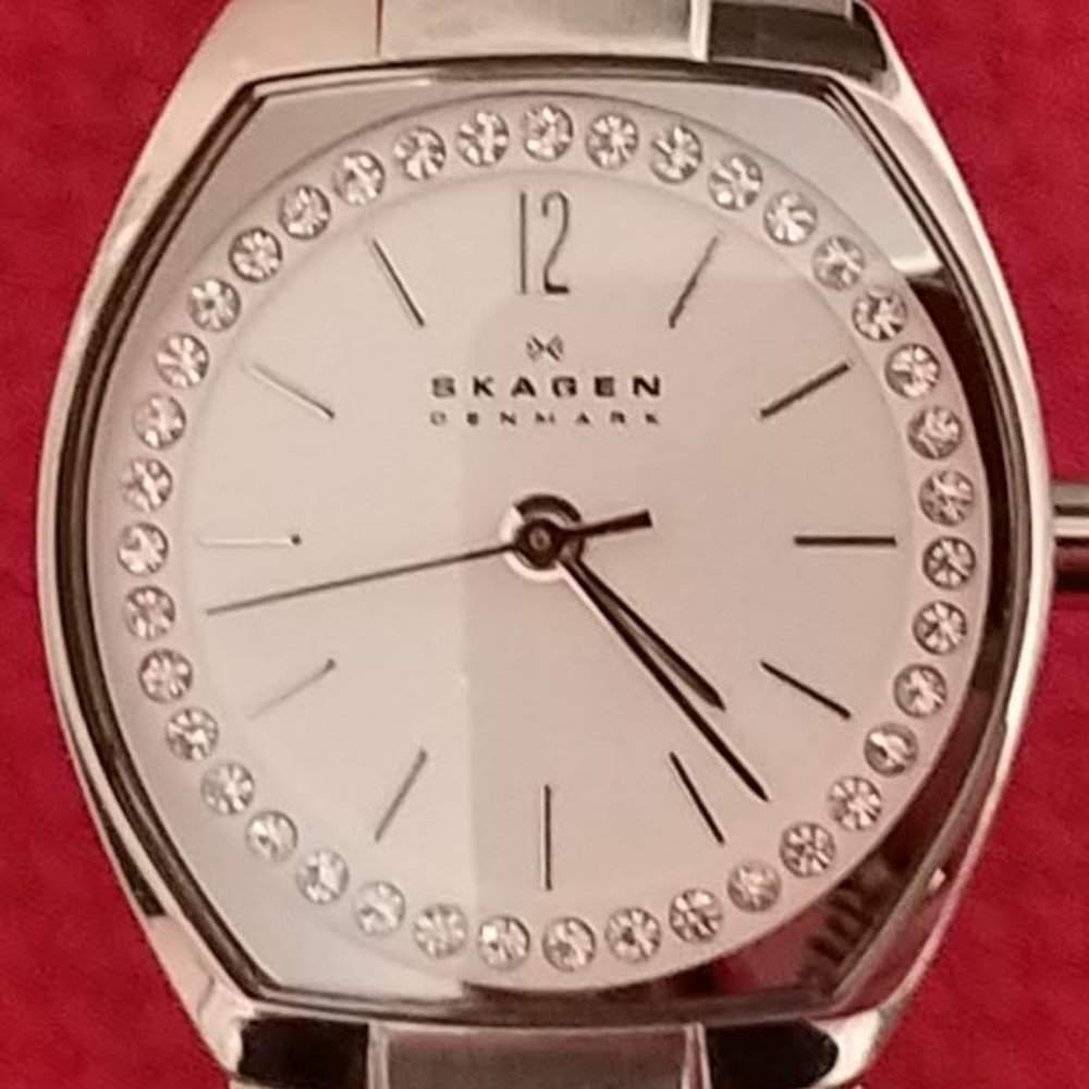 Ladies Skagen Denmark SS Watch